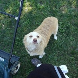 Meet your Posher, Tony